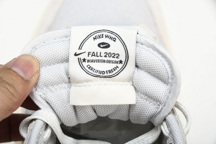 nike dunk low certified fresh do9776-001