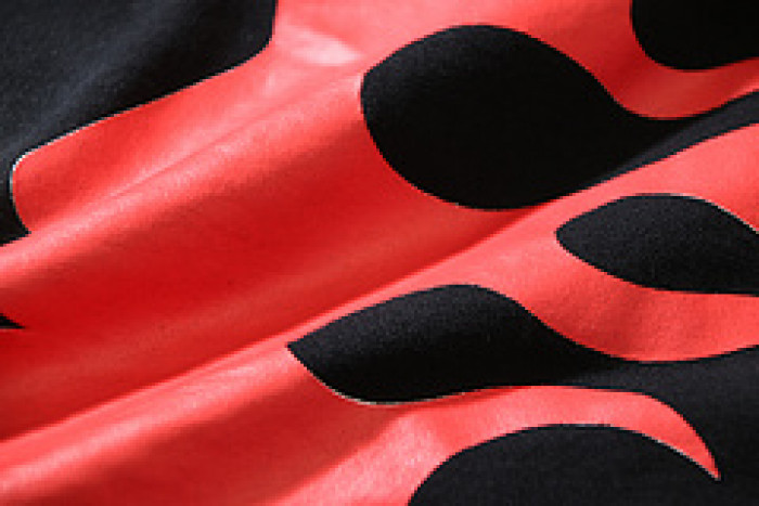 win clothes 24061404