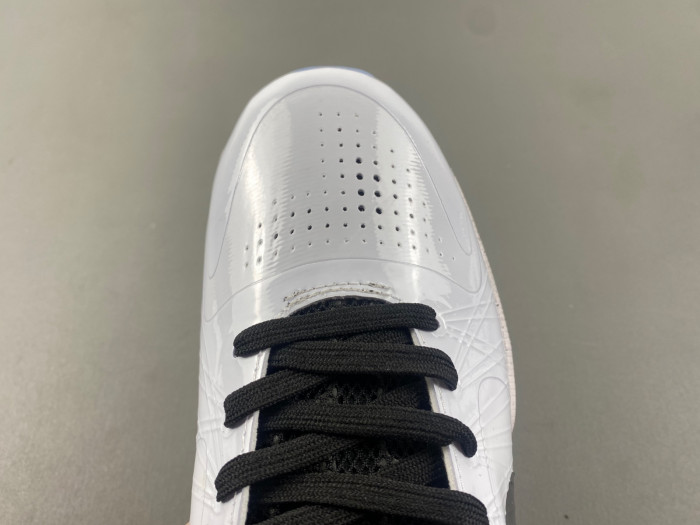 nike zoom kobe 5 protro 