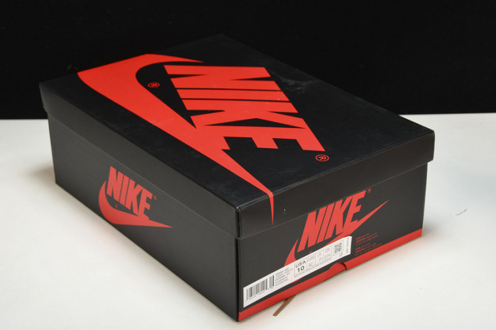 air jordan 1 high og “starfish” do9369-101