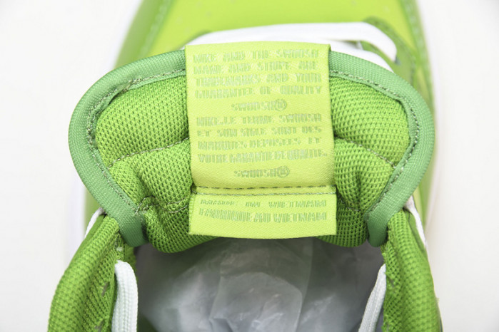 nike dunk low Ch10rophyll dj6188-300