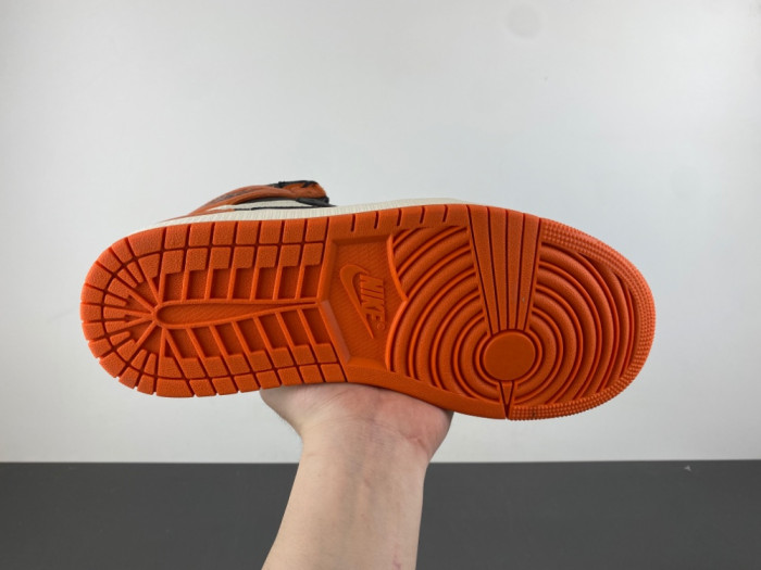 ( 2025 ) Air Jordan 1 High OG “Shattered Backboard” DZ5485-008