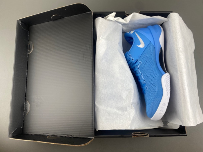 Nike Kobe 8 Protro TB Game Royal HM6469-401