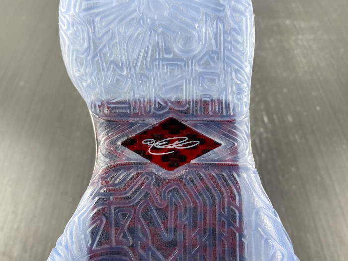 nike lebron 20 the debut dj5423-100